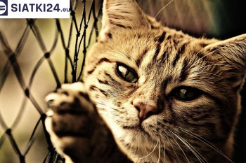 Siatki Słupsk - Siatki na balkony - zabezpieczenie dzieci i zwierząt dla terenów Słupska