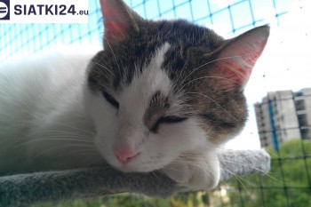 Siatki Słupsk - Siatka na balkony dla kota i zabezpieczenie dzieci dla terenów Słupska